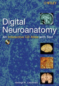 Digital Neuroanatomy - Sem Cd