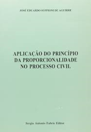 Aplicacao Do Principio Da Proporcionalidade No Processo Civil