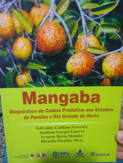 Mangaba - Diagnosticos Da Cadeia Produtiva Nos Estados Da Paraiba E Rio Grande Do Norte