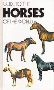 Guide To The Horses Of The World