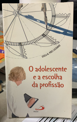 O Adolescente E A Escolha Da Profissao