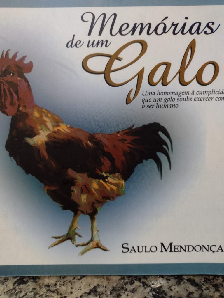 Memorias De Um Galo - Uma Homenagem A Cumplicidade Que Um Galo Soube Exercer Com O Ser Humano