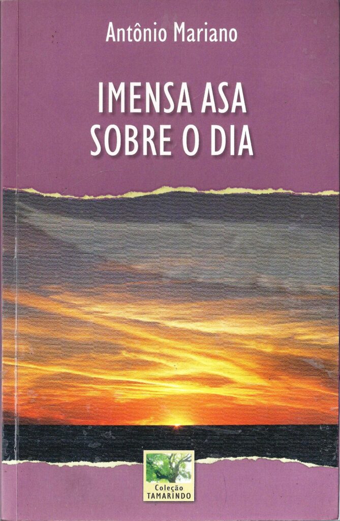 Imensa Asa Sobre O Dia