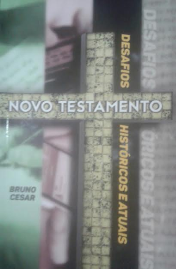 Novo Testamento - Desafios Historicos E Atualidades