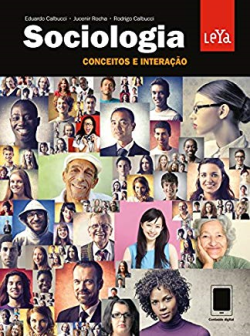 Sociologia Conceitos E Interacao