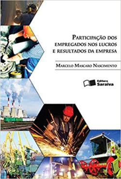Participacao Dos Empregados Nos Lucros E Resultados Da Empresa