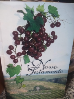 O Novo Testamento