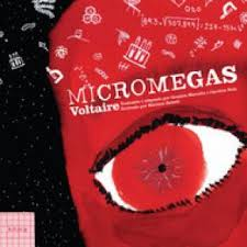 Micromegas