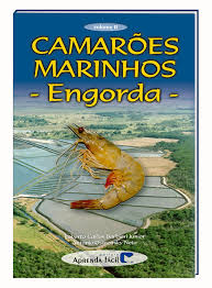 Camaroes Marinhos Engorda V.02