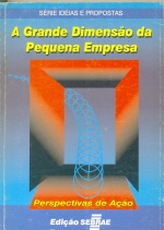 A Grande Dimensao Da Pequena Empresa