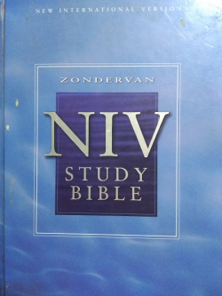 Niv Study Bible