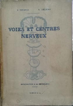 Voies Et Centres Nerveux - Introduction A La Neurologie