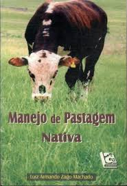 Educacao Brasileira No Xeculo Xxi - Desafios E Perspectivas