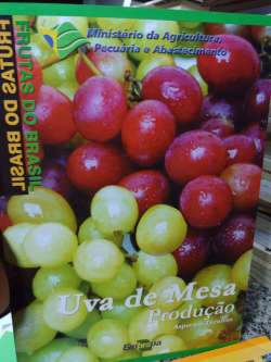 Uva De Mesa Producao Aspectos Tecnicos