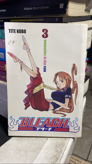 Bleach Vol. 3 - memories in the rain