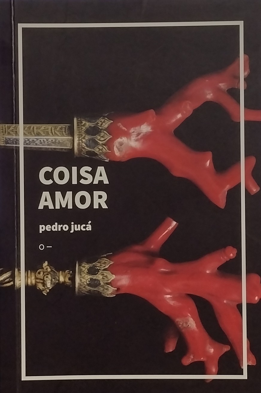 Coisa amor