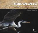 Transpantaneira - Passarela De Fauna E Flora