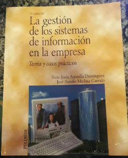La Gestion De Los Sistemas De Informacion En La Empresa