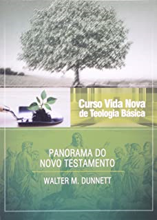 Curso Vida Nova De Tecnologia Basica - Panorama Do Novo Testamento V. 03
