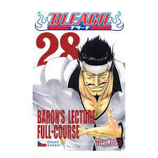 Bleach V. 28