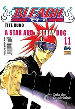Bleach Vol. 11- A Star And A Stray Dog