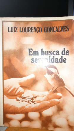 Em Busca Da Serenidade