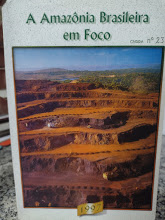 Amazonia Brasileira Em Foco Nº 23