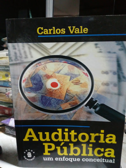 Auditoria Publica - Um Enfoque Conceitual