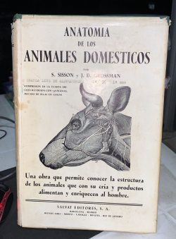 Anatomia De Los Animales Domesticos