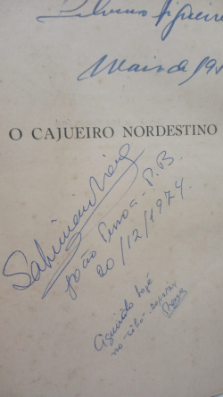 O Cajueiro Nordestino