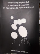 Unraveling Piglet Gut Microbiota Dynamics In Response To Feed Additives