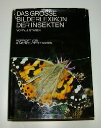 Das Grosse Bilderlexikon Der Insekten