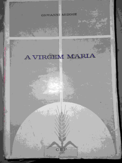 A Virgem Maria - Ensaio Da Historia Do Dogma