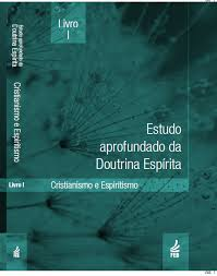 Estudo Aprofundado Da Doutrina Espirita - Livro 1 - Cristianismo E Espiritismo