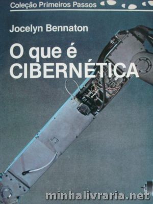 Que E Cibernetica, O - Colecao Primeiros Passos