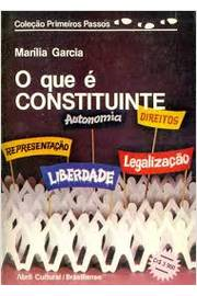 O Que E Constituinte - Colecao Primeiros Passos