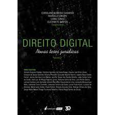 Direito Digital - Novas Teses Juridicas