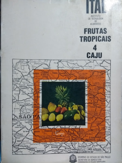 Frutas Tropicais 4 Caju