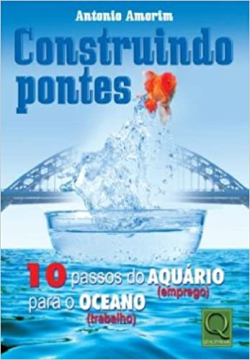 Construindo Pontes