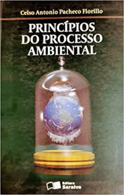 Principios Do Processo Ambiental
