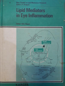 Lipid Eye Mediators In Eye Inflammation