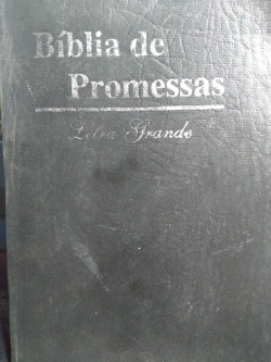 Bliblia De Promessas - Letra Grande