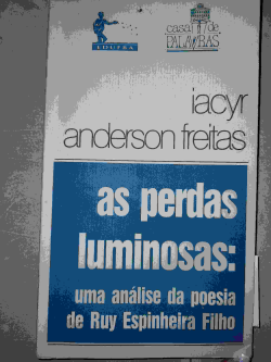 As Perdas Luminosas - Uma Analise Da Poesia De Ruy Espinheira Filho