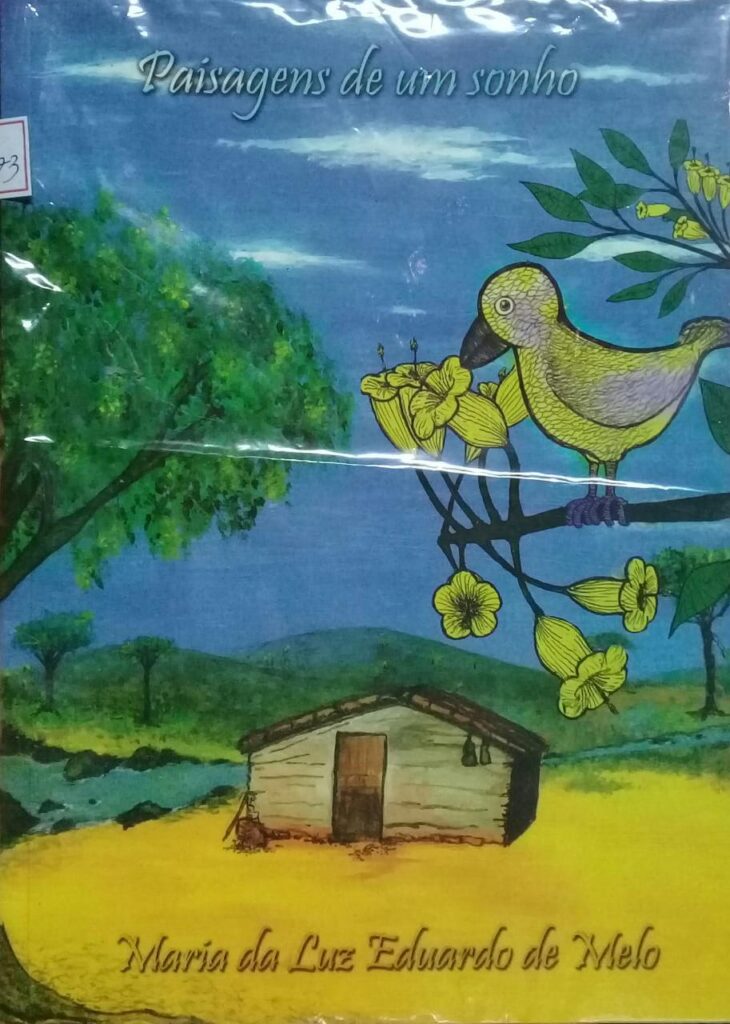 Paisagem De Um Sonho