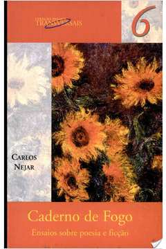 Caderno De Fogo - Ensaios Sobre Poesia E Ficcao