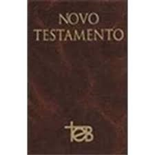 Novo Testamento - Teb