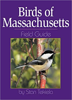 Birds Of Massachusetts Field Guide