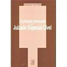 Os Principios Processuais No Juizado Especial Civel