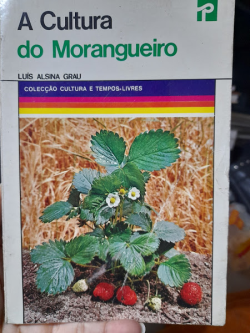 A Cultura Do Morangueiro