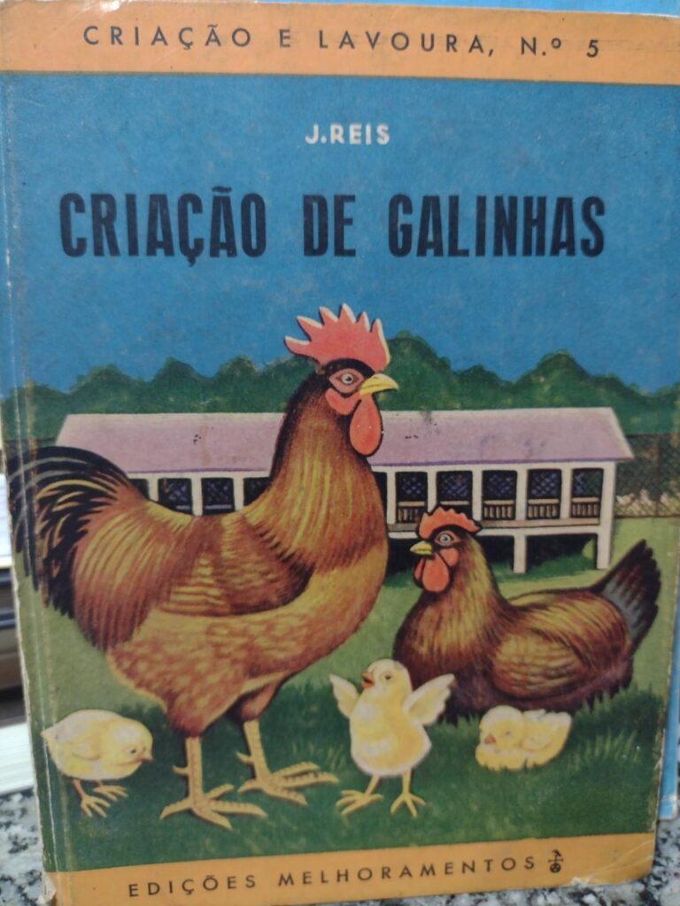 Criacao De Galinhas